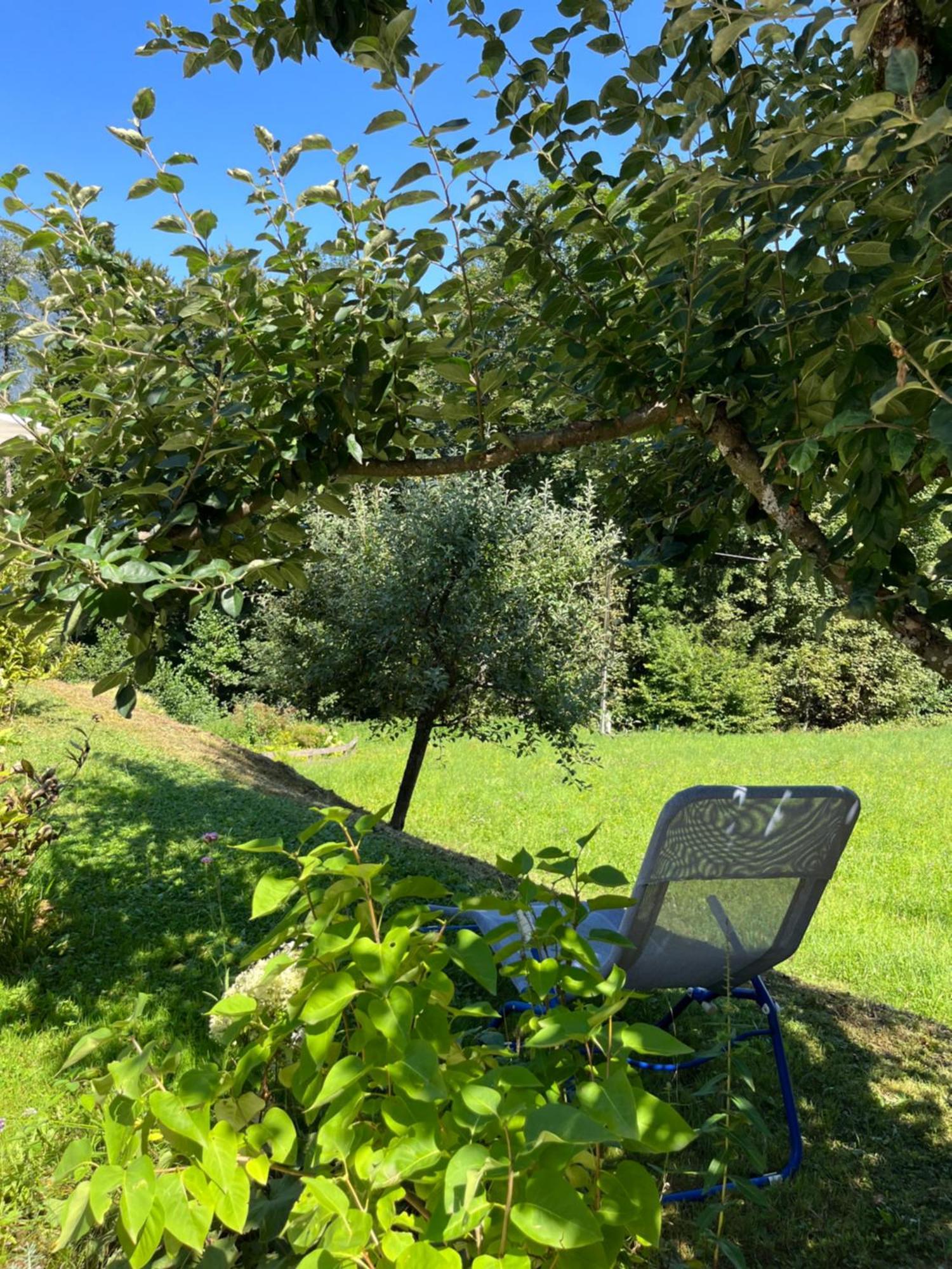 Ferienwohnung Waldhauser Hermagor-Pressegger See Luaran gambar