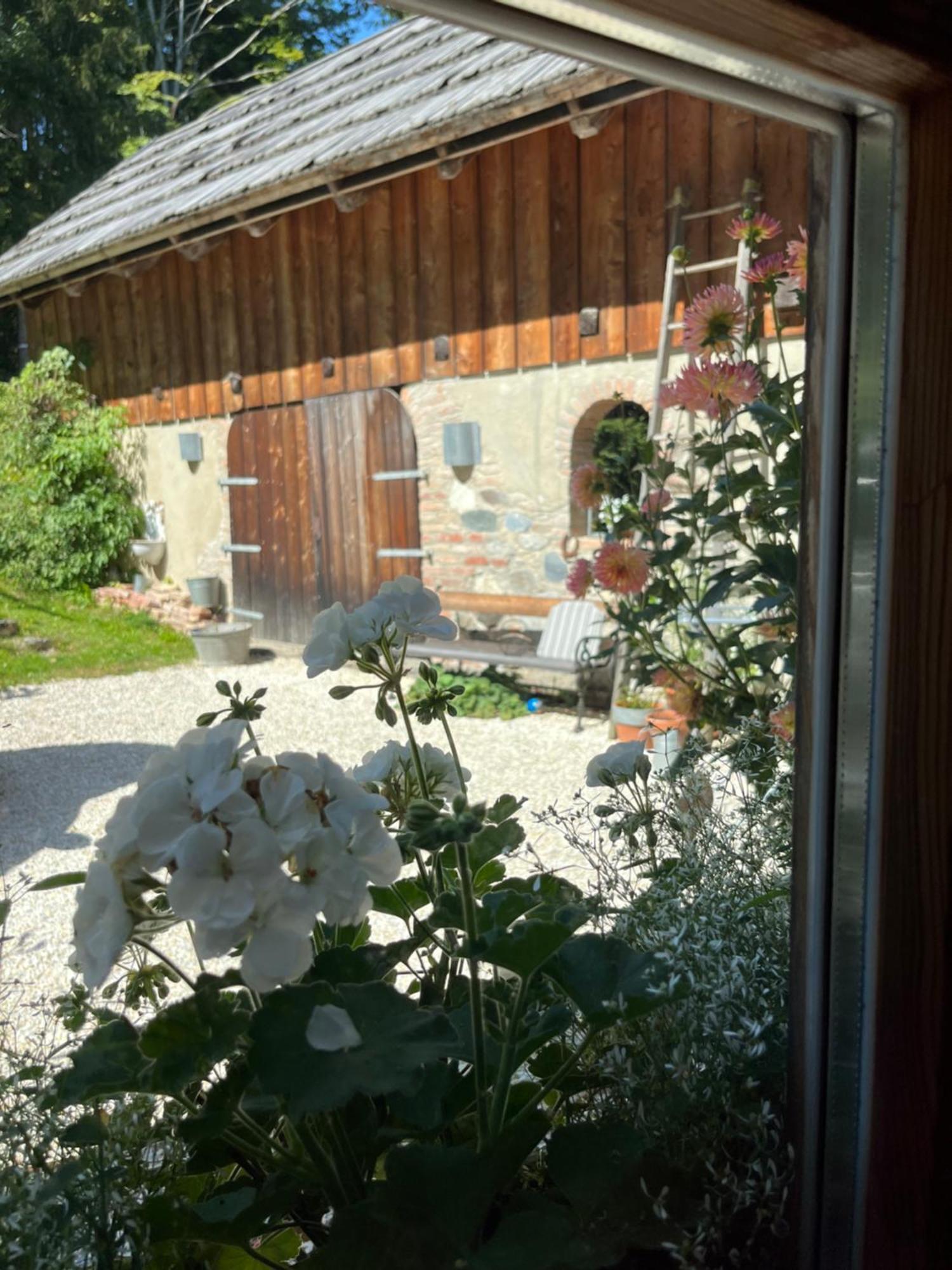 Ferienwohnung Waldhauser Hermagor-Pressegger See Luaran gambar